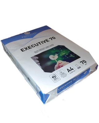 A4 EXECUTIVE FIDUCIAL 70 грам (500 арк.) Коробка 5 пачок 110065 фото